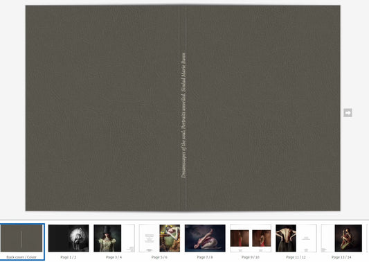 Dreamscapes of the soul: Portraits unveiled.